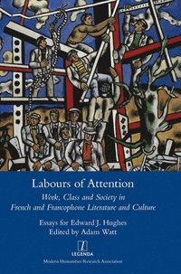 bokomslag Labours of Attention