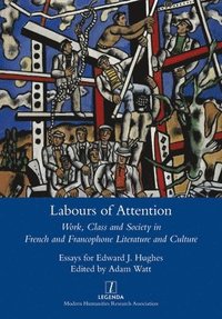 bokomslag Labours of Attention