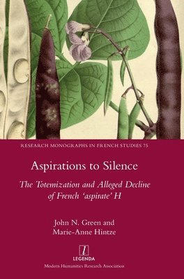 John N Green, Marie-Anne Hintze - Aspirations to Silence, Inbunden