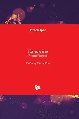 Xihong Peng - Nanowires, Inbunden
