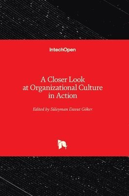 A Closer Look at Organizational Culture in Action 1