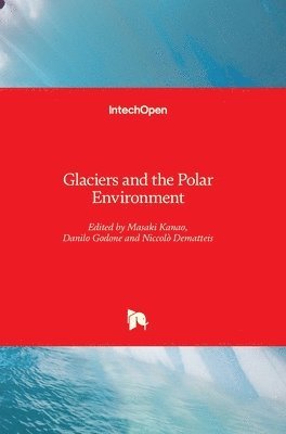 Niccolò Dematteis, Danilo Godone, Masaki Kanao - Glaciers and the Polar Environment, Inbunden