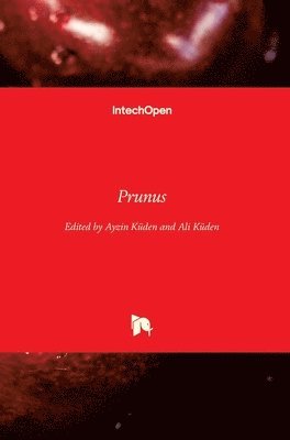 Ayzin Küden, Ali, Ali Küden - Prunus, Inbunden
