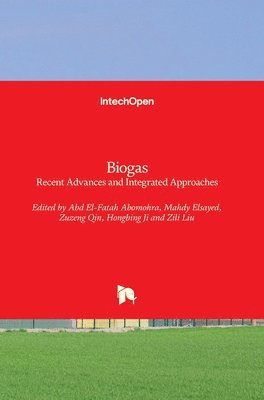 Zili Liu, Hongbing Ji, Zuzeng Qin, Mahdy Elsayed, Abdelfatah Abomohra - Biogas, Inbunden