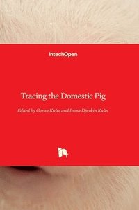 bokomslag Tracing the Domestic Pig