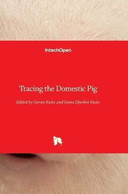 bokomslag Tracing the Domestic Pig