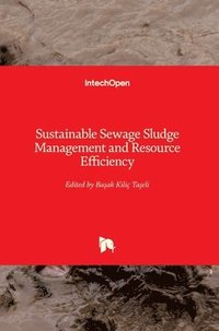 bokomslag Sustainable Sewage Sludge Management and Resource Efficiency