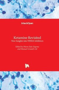 bokomslag Ketamine Revisited
