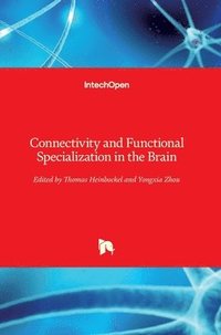 bokomslag Connectivity and Functional Specialization in the Brain