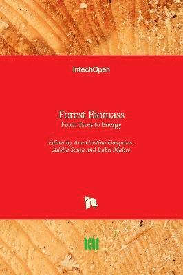 Ana Cristina Gonçalves, Adélia Sousa, Isabel Malico - Forest Biomass, Inbunden