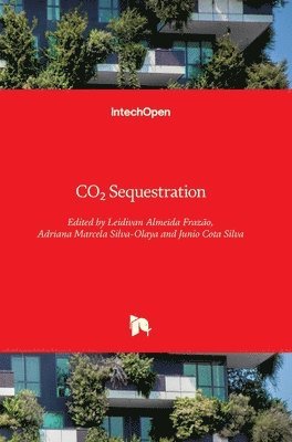 bokomslag CO2 Sequestration