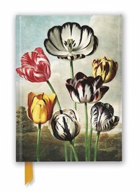 Anteckningsbok 22x16cm linjerad Temple of Flora: Tulips