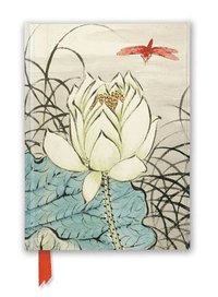 bokomslag Ashmolean: Ren Xiong: Lotus Flower and Dragonfly (Foiled Journal)