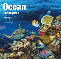 bokomslag Ocean Endangered