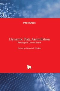 bokomslag Dynamic Data Assimilation