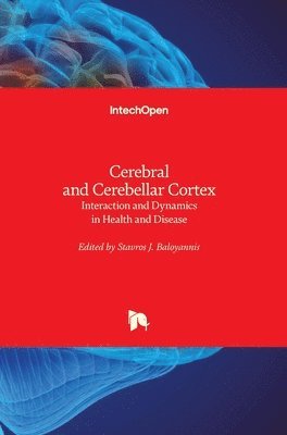 bokomslag Cerebral and Cerebellar Cortex