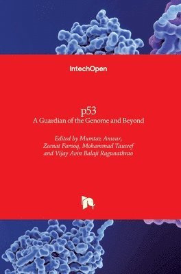 Mumtaz Anwar, Zeenat Farooq, Mohammad Tauseef, Vijay Avin Balaji Ragunathrao, Vijay Avin Balaji Ragunathrao - p53, Inbunden
