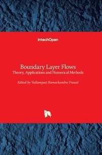 bokomslag Boundary Layer Flows