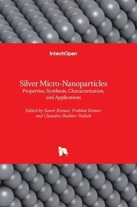 bokomslag Silver Micro-Nanoparticles