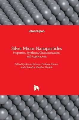 Silver Micro-Nanoparticles 1