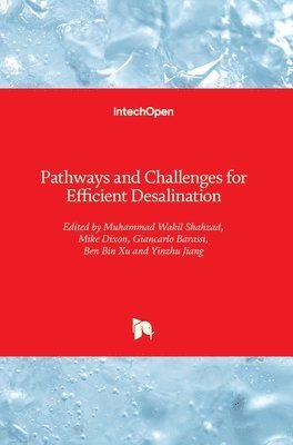 bokomslag Pathways and Challenges for Efficient Desalination