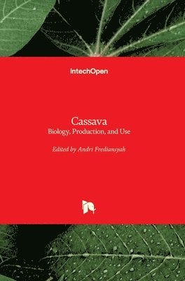 bokomslag Cassava