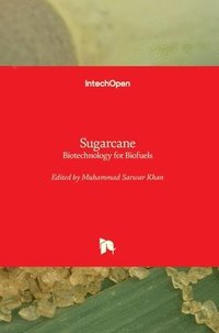 bokomslag Sugarcane