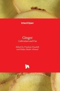 bokomslag Ginger