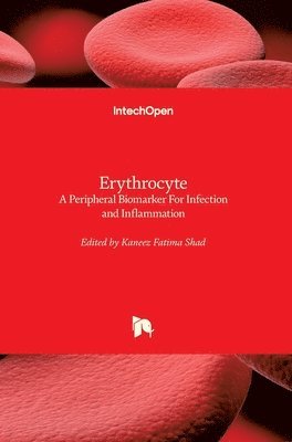Erythrocyte 1
