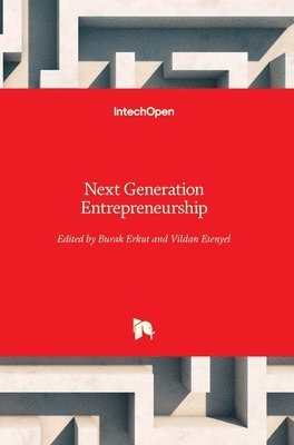 bokomslag Next Generation Entrepreneurship