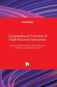 bokomslag Computational Overview of Fluid Structure Interaction