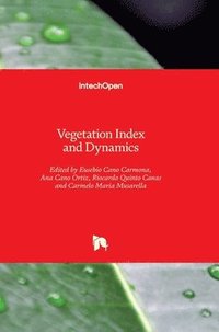 bokomslag Vegetation Index and Dynamics