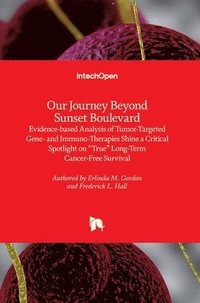 bokomslag Our Journey Beyond Sunset Boulevard
