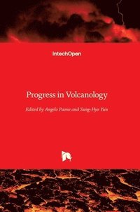 bokomslag Progress in Volcanology