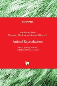 bokomslag Animal Reproduction