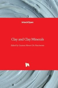 bokomslag Clay and Clay Minerals