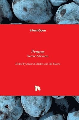 Ayzin B. Küden, Ali Küden - Prunus, Inbunden
