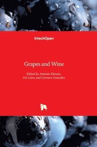 bokomslag Grapes and Wine