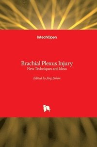 bokomslag Brachial Plexus Injury