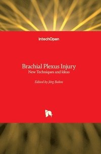 bokomslag Brachial Plexus Injury