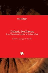 bokomslag Diabetic Eye Disease
