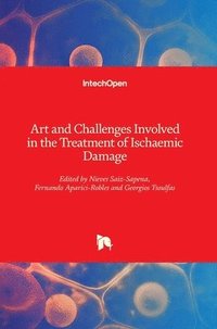 bokomslag Art and Challenges Involved in the Treatment of Ischaemic Damage