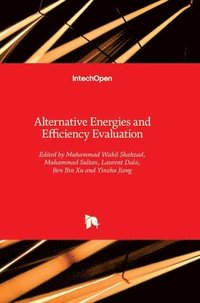 bokomslag Alternative Energies and Efficiency Evaluation