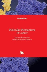 bokomslag Molecular Mechanisms in Cancer