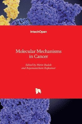 bokomslag Molecular Mechanisms in Cancer