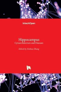 bokomslag Hippocampus