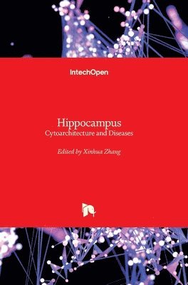 Hippocampus