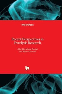bokomslag Recent Perspectives in Pyrolysis Research