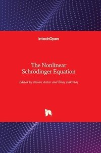 bokomslag The Nonlinear Schrdinger Equation