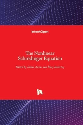 Nalan Antar, İlkay Bakırtaş, İlkay Bakırtaş, Ilkay Bakirtas, ¿Lkay Bak¿rta¿ - Nonlinear Schrödinger Equation, Inbunden